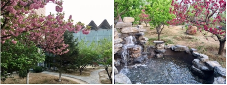 後花園