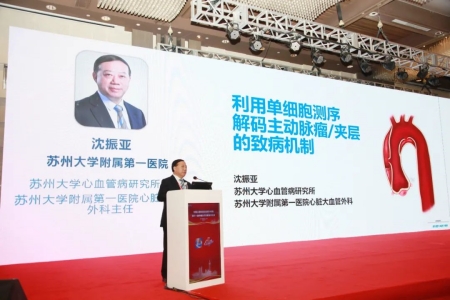 蘇州大學心血管病研究所所長、蘇州大學附屬第一醫院心髒大血管外科主任沈振亞(ya) 教授作報告