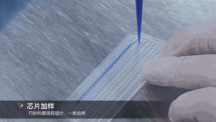 二十三項遺傳(chuan) 性耳聾相關(guan) 基因檢測芯片加樣
