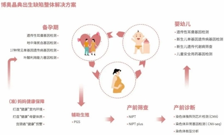 AG九游会J9集团晶典出生缺陷整體(ti) 解決(jue) 方案