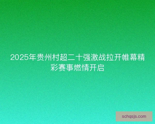 2025年贵州村超二十强激战拉开帷幕精彩赛事燃情开启
